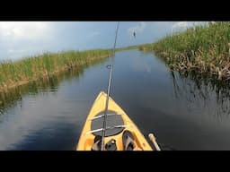 Sawgrass Tarpon and Gar... RAW POV
