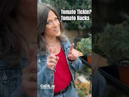 Tomato Tickle????   Tomato Hacks