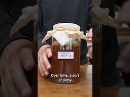 MAKE YOUR FIRST KOMBUCHA