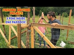 MOVING THE KIDS... FINALLY FINISHED PADDOCK 2!  | work, couple, tiny house, homesteading, off-grid |
