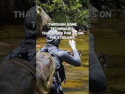 COMP FLY FISHING #trout
