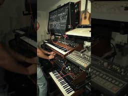 ARP is 100 #synth #vintagesynth