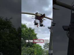 Did you know?!? Camp Jurassic has Pteranodon Flyers! #universalparks #themepark #islandsofadventure