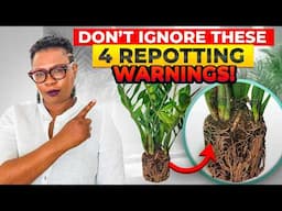 4 Signs Your Plant is Begging for a Bigger Pot