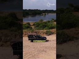 Ethical Safari in Sri Lanka?