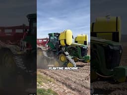 Potato Farming Equipment is Massive 🤯