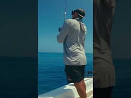Crazy Giant Trevally Eat w/ Brooksy