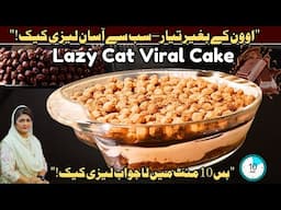 Lazy Cat Viral Cake Recipe by Samina Jalil I Lazy Chocolate Cake I Cake Without Oven I Pakao Dil Say