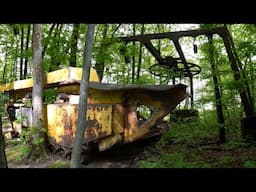 Found in the Woods