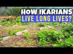 How Ancient Ikarians Lived on Longevity Blue Zone Island of Ikaria, Greece
