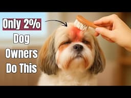 18 Hidden Things Your Dogs LOVE – But Only 2% of Owners Actually Do!