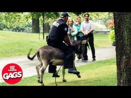 Carney Cuts Canadian 🇨🇦  Mountie 🐴  Budget | Just For Laughs Gags