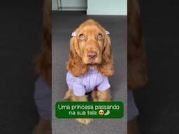 Essa música nunca fez tanto sentido