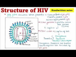 Structure of HIV