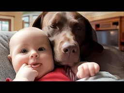 This Baby and Dog Duo Will Melt Your Heart!❤️ Baby and Dog Videos 2025
