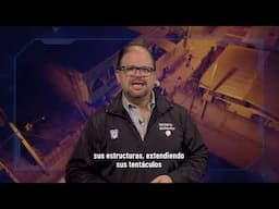 El Ministerio del Interior y la UAFE articulan fuerzas para acabar con la impunidad