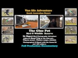 Bird photography Road trip Adventure. The Glue Pot SA Desert