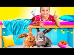 The Surprise Adventure Under the Bed: What Will We Find?