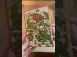 Quick little postcard journal to thank my neighbors ❤️
