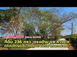 ที่ดินร่มรื่น 236 ตรว. ขายถูก 10,000/ตรว.  ใกล้ รพ.หางดง แค่ 1.5 กม. ใกล้ถนนเชียงใหม่-หางดง 1 กม