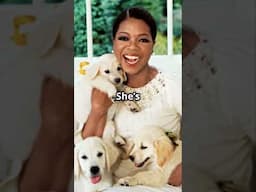 Top 10 Celebs Who Are CRAZY About DOGS! #shorts