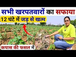 सभी खरपतवार का जड़ से सफाया 😱| kapas ki kheti | kharpatwar nashak dawai | motha ghas marne ki dawa