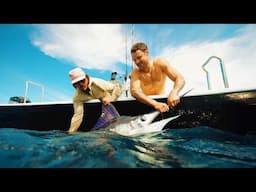 The Most BEAUTIFUL Fish in the Sea | Bahia Magdalena