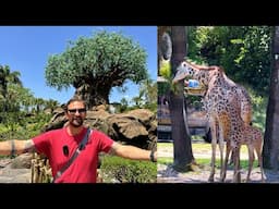 Disney Animal Kingdom Park Update! | Baby Giraffe Is Out On The Safari, NEW Merch & Fun Animal Facts