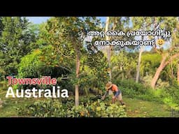 ഓസ്‌ട്രേലിയയിലെ കൃഷി #krishi #agriculture