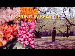 Perfect Spring Weekend in Seattle: From Cherry Blossoms to Baseball