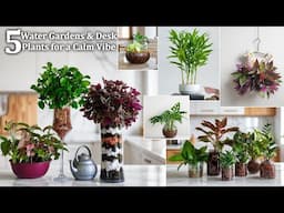 5 Easy Indoor Plant Ideas Water Gardens & Desk Plants for a Calm Vibe | Plant Display//GREEN PLANTS
