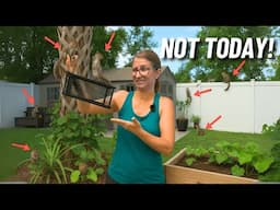 5 Easy Ways to Keep Squirrels Out of your Garden