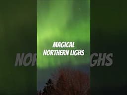 Magical northern lights