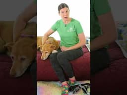 Join Me April 7 @ 10am Eastern for Knee Pain Stretches LIVE!