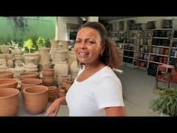 Como Está Minha Loja de Plantas 🪴