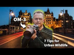 OM-3 & 100-400mm II | 7 TIPS Urban Wildlife Photography