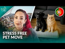 Bringing Pets to Portugal: Everything You Need to Know! 🐾