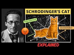 What REALLY Happens to Schrödinger’s Cat! What was Schrödinger's Criticism?