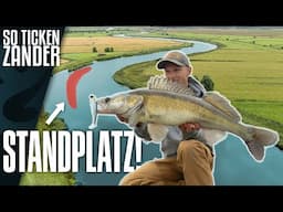 Wo stehen die Zander? Grund oder Mittelwasser?🤔 So ticken Zander!