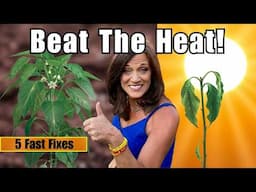 Heatwave Killing Your Veggies? Do These 5 Tips FAST