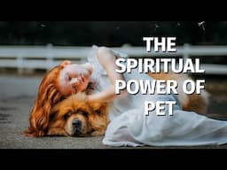The Spiritual Power of Pets: Finding Your Soul Companion