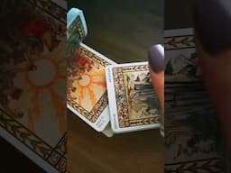 “Deck of the Day: ASMR The Harmonious Tarot 💜” The Harmonious Tarot