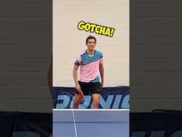 Hugo's tweener
