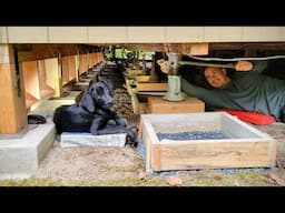 Cabin Re-Leveling Begins! Setting First Row of Blocks & Jacks