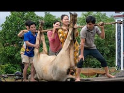 Giant 370Kg Cow BBQ on the Mountain! Epic Camping Feast with Spicy Chili Salted Beef! @Kitchen Foods