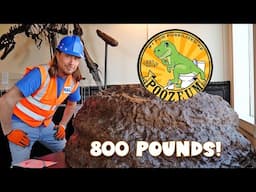🦖 💩 Handyman Hal at the POOZEUM! Awesome Dinosaur Fossils 🦕