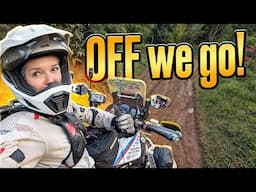 Up, Down & Dirty! Tackling Honduras' Hills on Two Wheels - EP.344