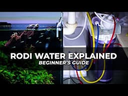 RODI WATER FOR AQUARIUMS EXPLAINED | Beginner Guide