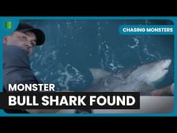 Cyril Chauquet Faces a Monster Bull Shark | Chasing Monsters