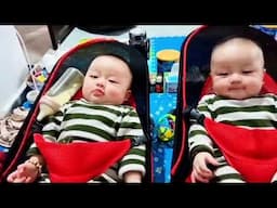 Full : Thùy Những Ngày Tháng Ở Nhà Trọ Trước Khi Về Nhà | Luận Quảng Ninh